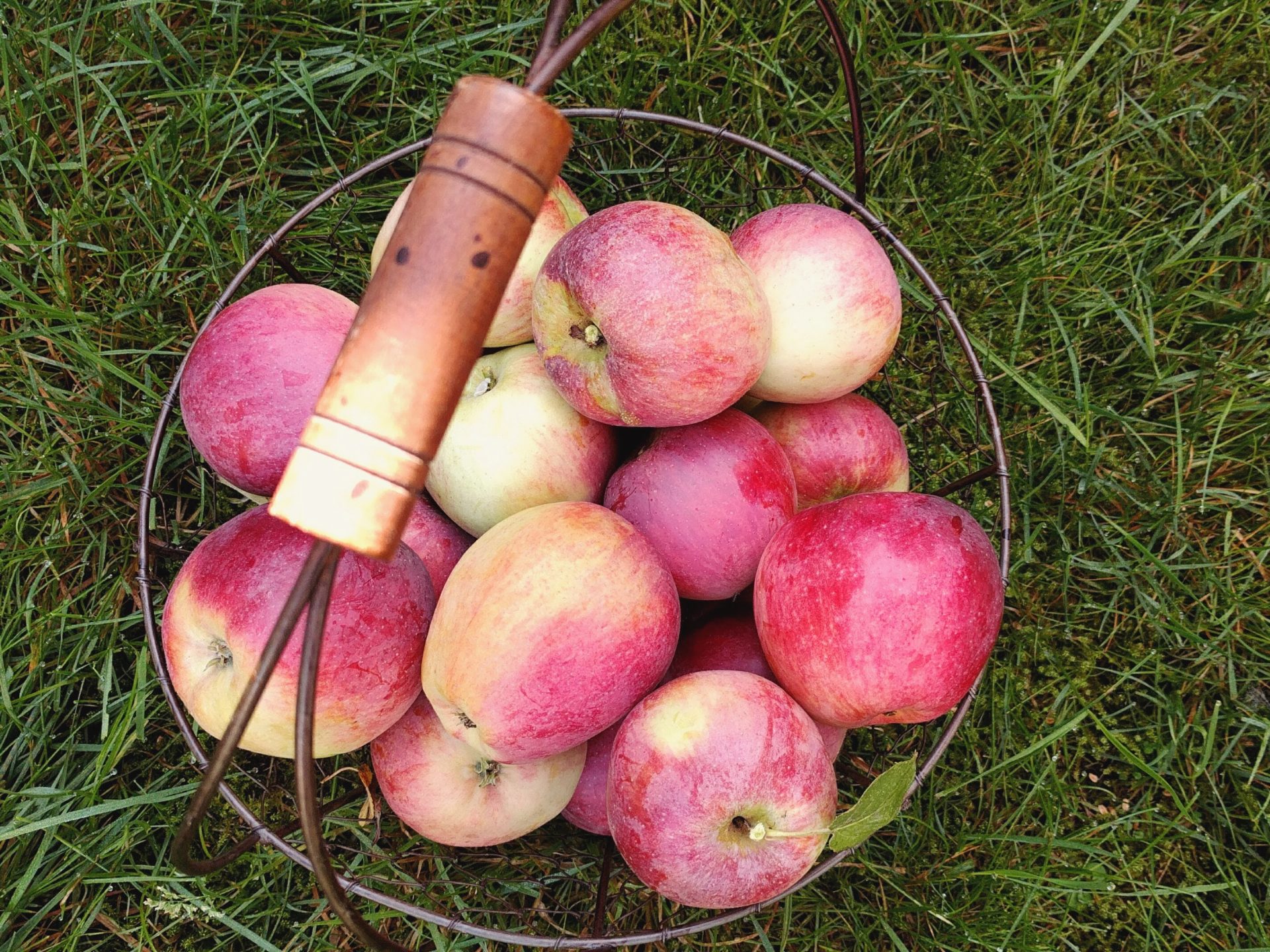 Як будуть святити яблука на Спаса в умовах карантину?