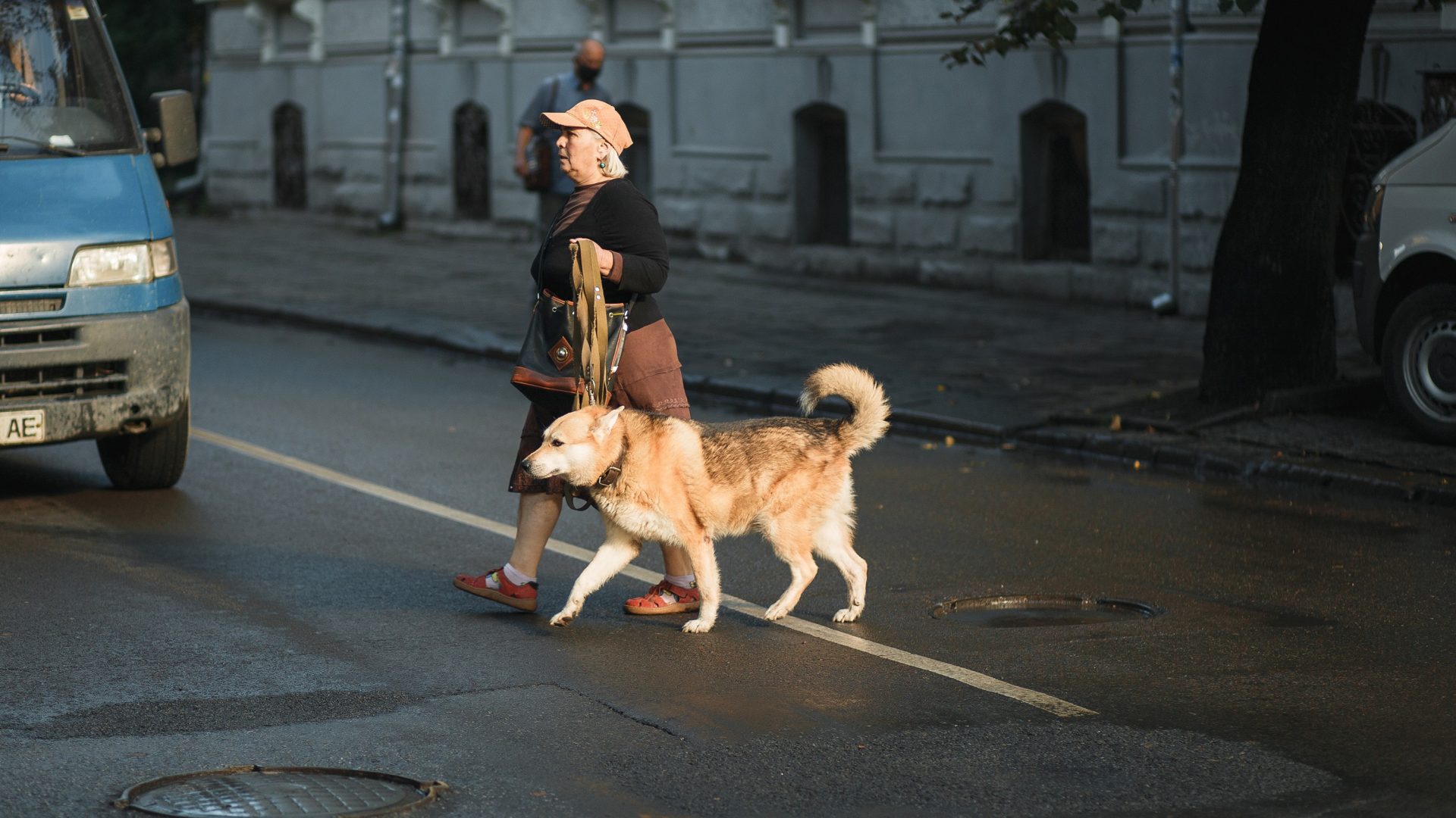 Скажи «Гав»! Як живуть собаки у Франківську: фоторепортаж